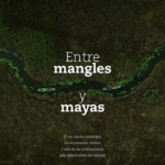The documentary ‘Between Mangroves and Mayans’ will be shown at the Tabasco Film Festival”