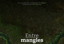 The documentary ‘Between Mangroves and Mayans’ will be shown at the Tabasco Film Festival”