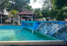 Tabasco Fair 2026 and “Fishing for Life” invite you to enjoy flavors and traditions