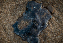 Oil spill in the Gulf of Mexico: hydrocarbon stains still reported on 81 beaches in Veracruz, Tabasco, and Tamaulipas