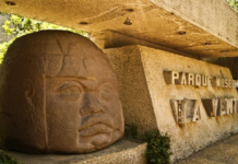 Museo La Venta: A Visitor Favorite