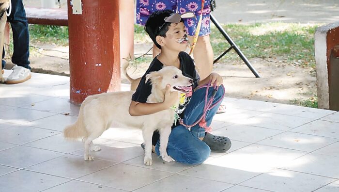 Second Canine Festival 2026 Promotes Pet Vaccination and Responsible Adoption in Pomoca